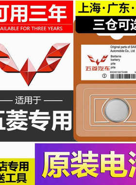 适用五菱宏光mini星辰宏光S征程S3之光S1荣光V遥控器汽车钥匙电池