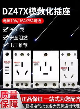 德力西DZ47X模数化插座导轨式AC30配电箱二三插16A五孔10A四孔