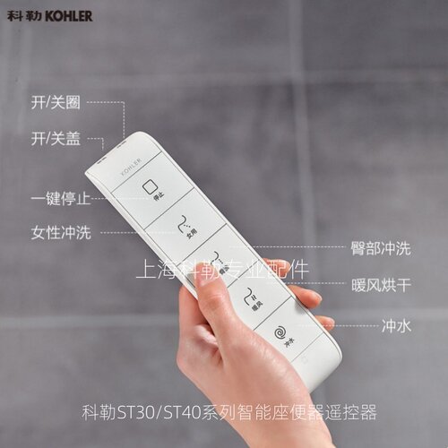 科勒3627334163芸沁系列遥控器