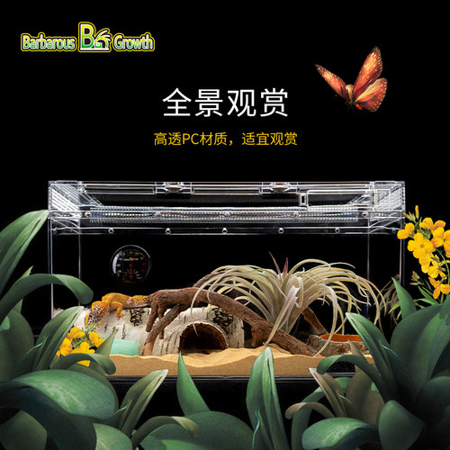 沙漠系造景蜥蜴守宫饲养盒防逃