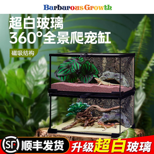 BG鬓狮蜥蜴守宫爬宠饲养箱生态雨林造景宠物蛇角蛙蜘蛛玻璃饲养盒
