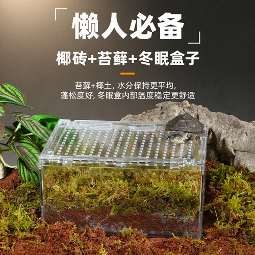 懒人必备乌龟冬眠椰土苔藓套餐