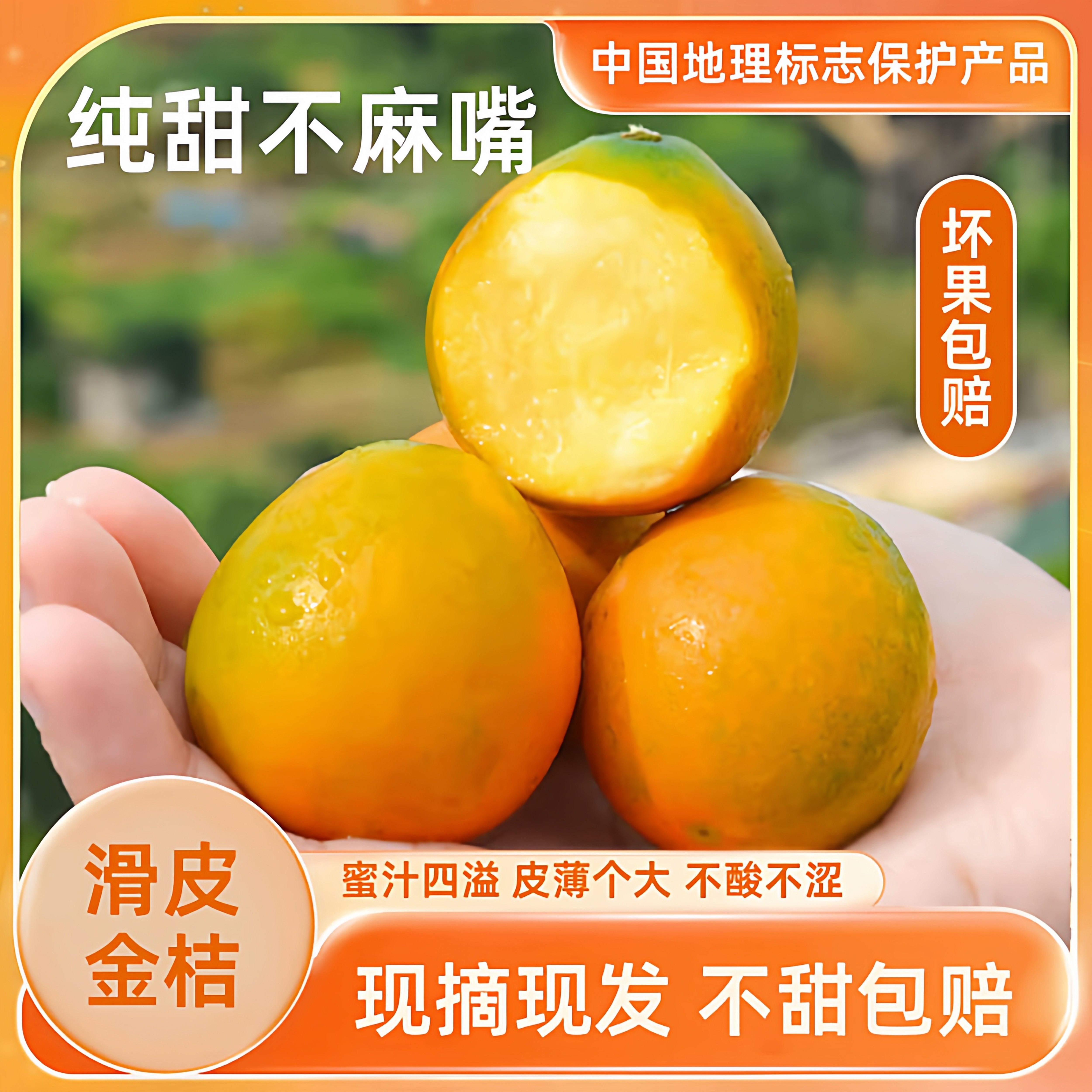 广西滑皮金桔/金柑带皮吃金桔新鲜水果坏果包赔小金桔融安,水产肉类/新鲜蔬果/熟食,桔子,淘宝优惠券,粉丝福利购,淘宝优惠卷