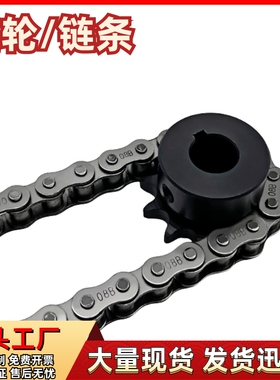 SP40B 08A链轮/链条VLF02/11-40-35 36 40-D20 D22 D25 D28 D30