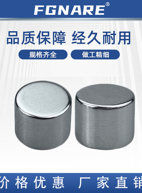 耐高温磁铁BLS03-D5/6/8-L1/2/3/4/5/6/8/10