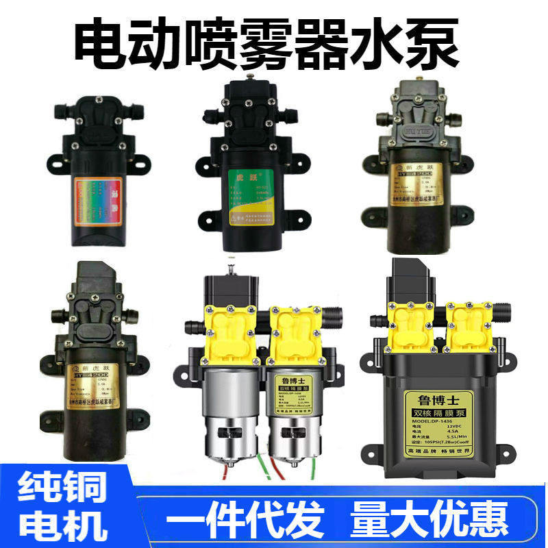 12v伏农用电动喷雾器水泵电机小马达水钻微型自吸隔膜泵高压洗车