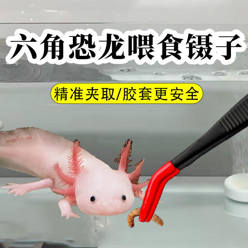 六角恐龙鱼喂食镊子专用蝾螈喂食器大号夹工具鱼缸新手神器用品