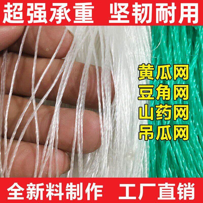 吊瓜山药种植攀爬网 农用植物爬藤网 苦瓜丝瓜瓜网 粗股耐久园艺