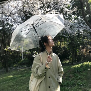 雨天出片神器|透明雨伞长柄手动男女高颜值韩系ins风透明伞拍照
