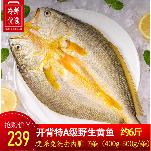 黄花鱼黄鱼鲞大黄鱼生鲜海鲜冷冻
