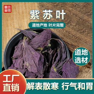 紫苏叶中药材正品中草药野生紫苏叶泡水泡茶泡脚干货无硫打粉500g