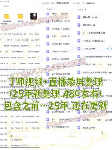 丁师愚仁视频+直播录屏整理大合集 有更新 视频资料素材
