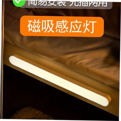 Motion Sensor LED Night Light USB Rechargeable Lamp感应灯 1