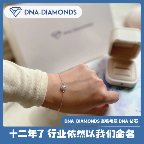 加拿大DNADIAMONDS代尔梦斯培育生命钻石宠物毛发培育DNA钻石手链