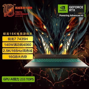 机械革命 MECHREVO 蛟龙16K RTX4060 机械革命极光X 7435H pro