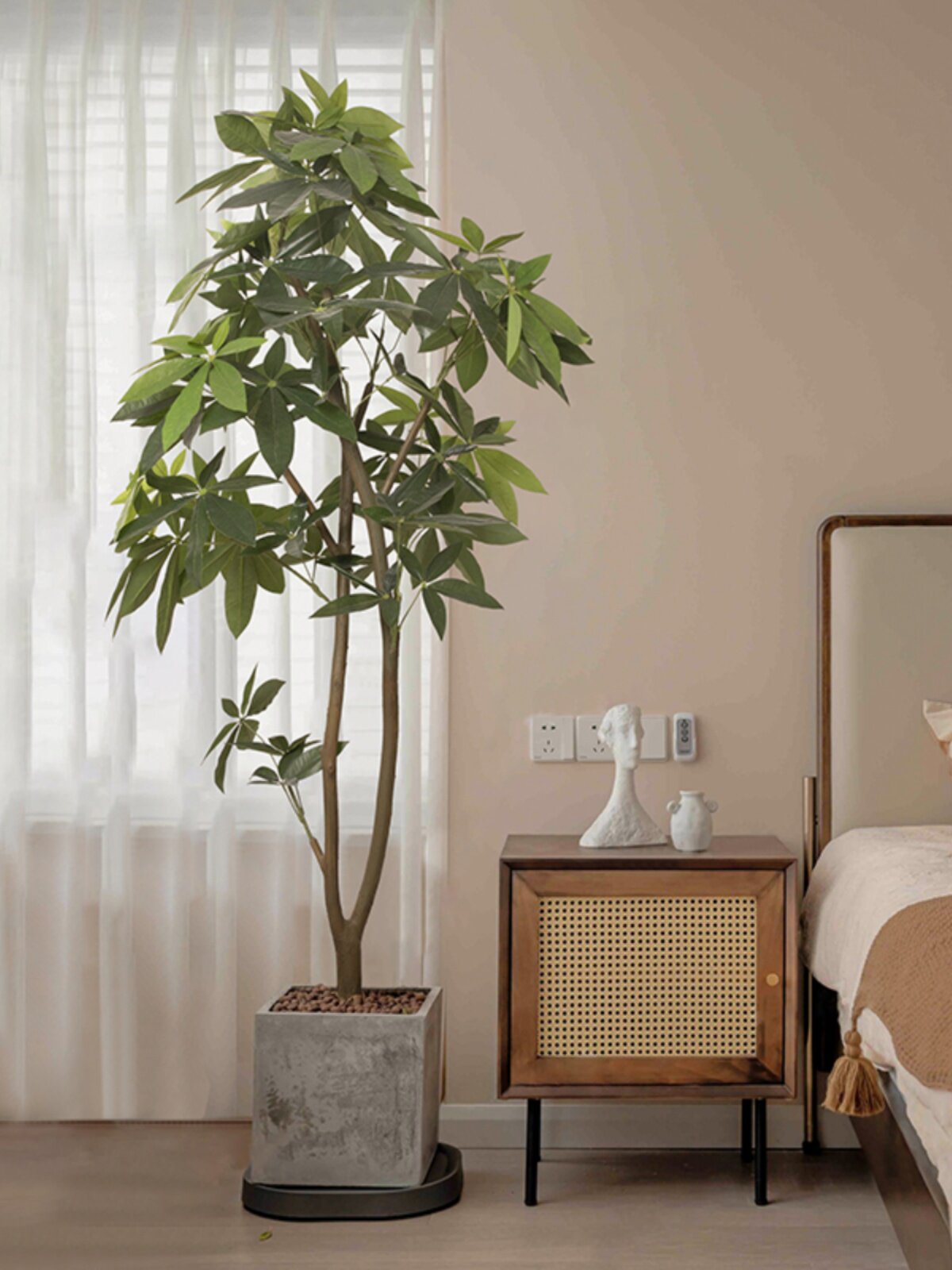 森空间模拟绿色植物金钱树家居客厅地板植物装饰装饰品斯堪的纳维