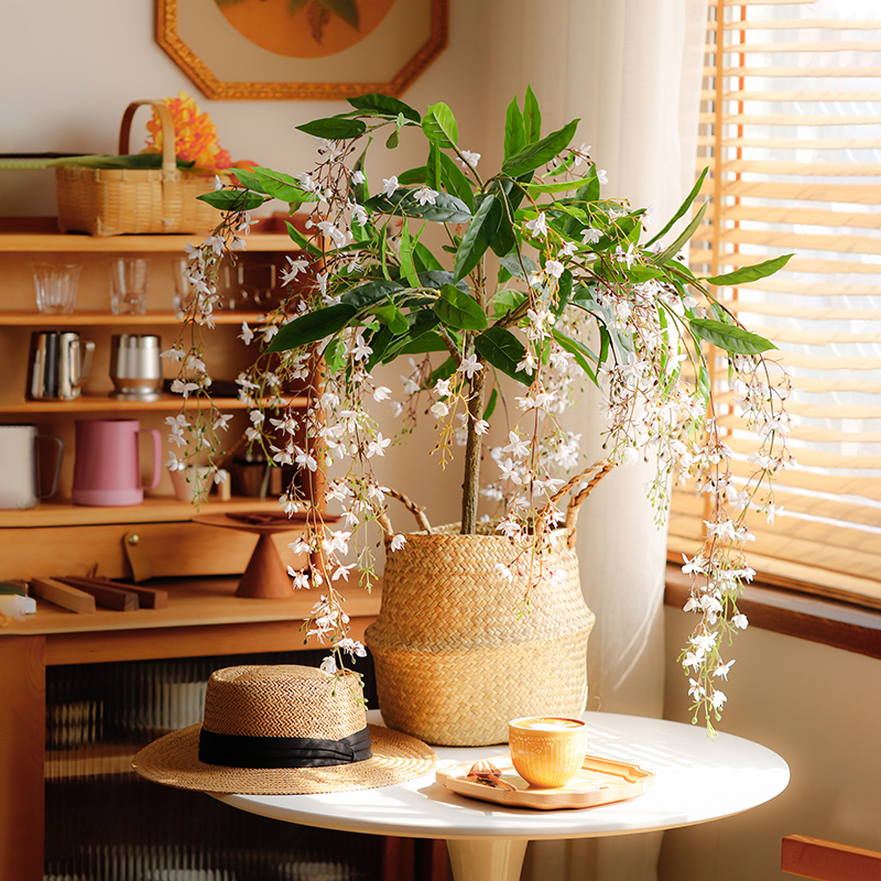 森空间氛围感垂丝茉莉装饰