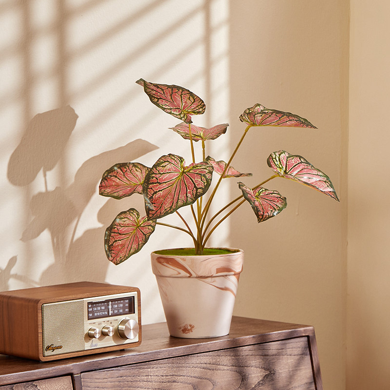 森空间仿真绿植小盆栽假植物桌面懒人植物免浇水拍照道具网红同款,家居饰品,仿真植物盆景,淘宝优惠券,粉丝福利购,淘宝优惠卷