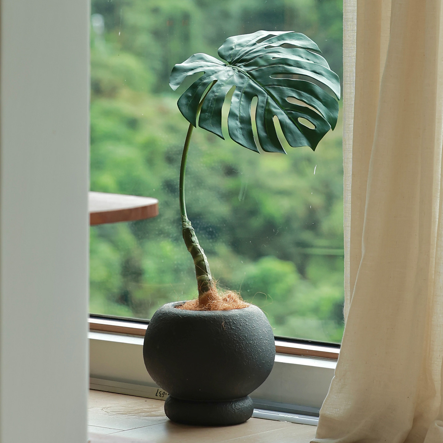 仿真绿植龟背竹春羽植物