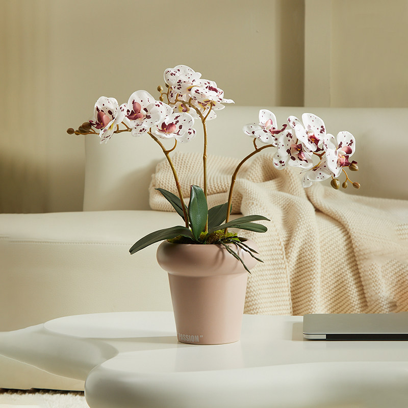 森空间桌面装饰蝴蝶兰摆件