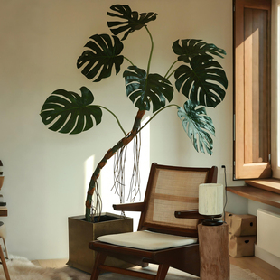 森空间仿真绿植龟背竹龙鳞春羽室内简约风落地盆栽高级感软装搭配