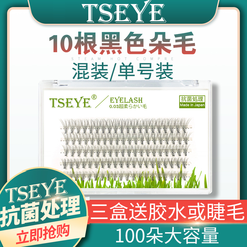 TSEYE10根自嫁接睫毛单簇朵毛