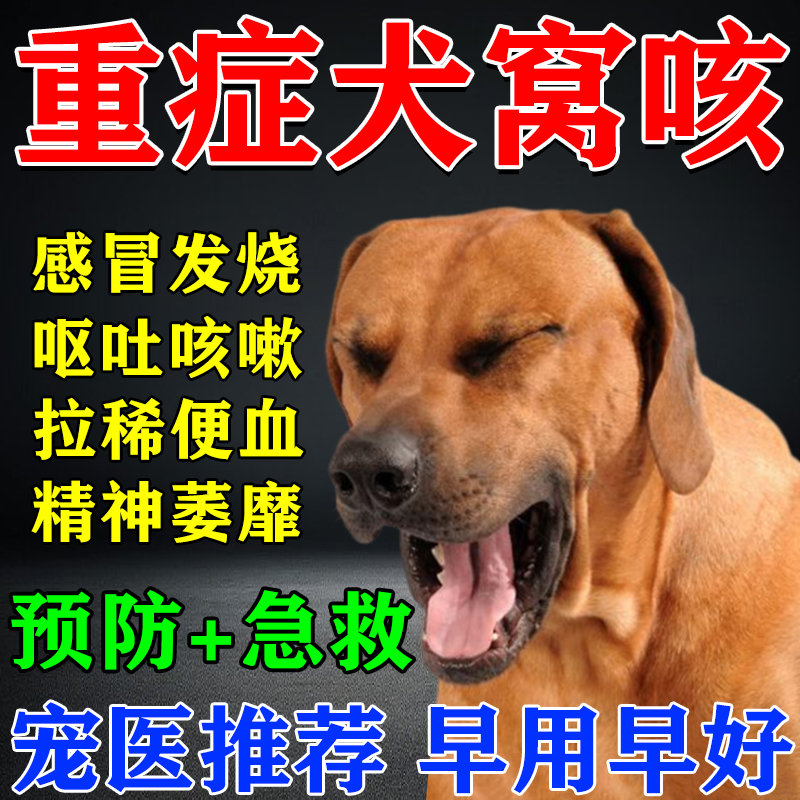 宠物感冒犬窝咳特效药