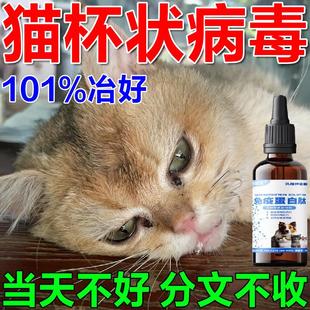 猫杯状病毒治疗药猫咪感冒药打喷嚏流鼻涕感冒专用口炎鼻支特效药
