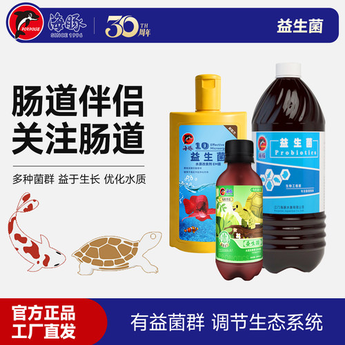 海豚活性益生菌关注肠道不适