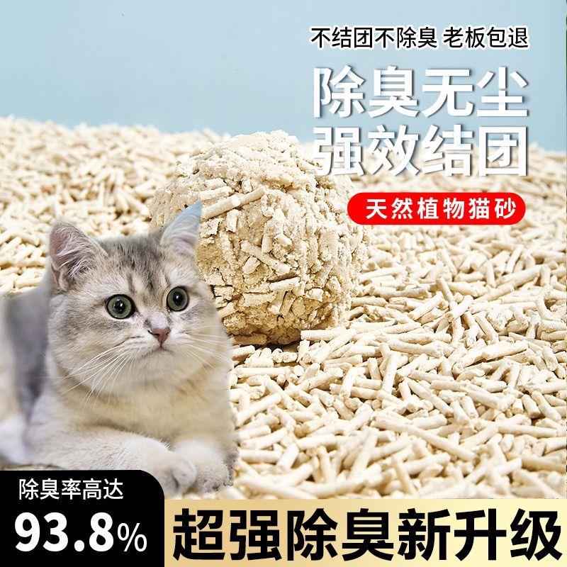 FORENCE PET卜确幸猫砂宠物吸水原味绿茶结团单包