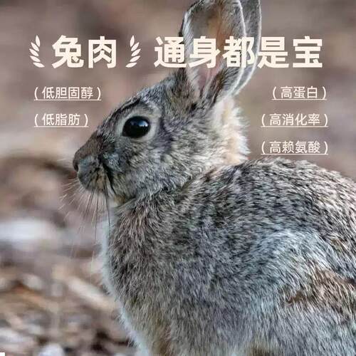 猫爸爸的厨房奶昔主食罐