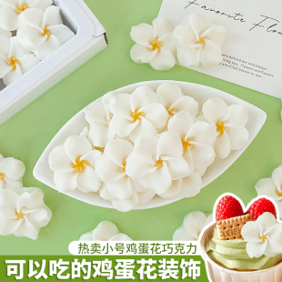 巧克力鸡蛋花蛋糕装饰插件翻糖立体小白花朵生日甜品点缀可食用