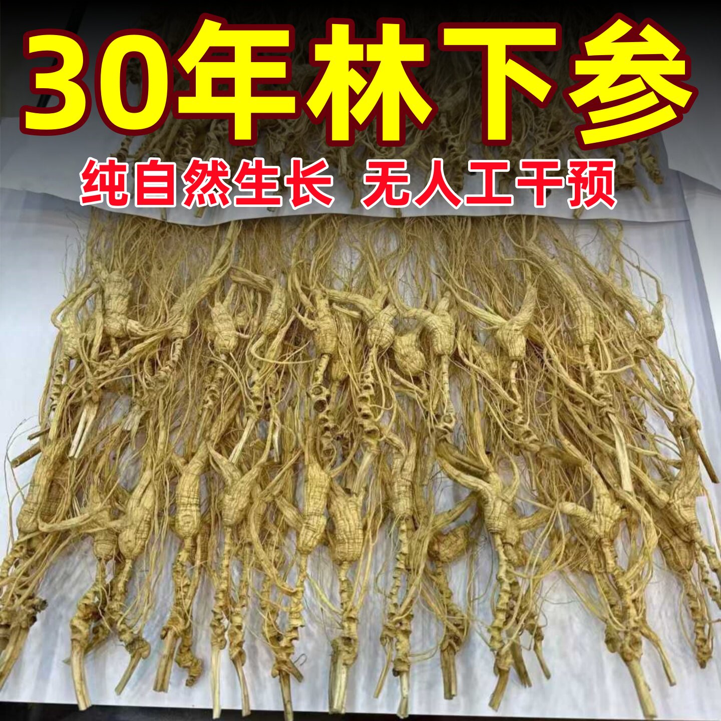 正宗吉林长白山林下参生晒野山参礼盒东北人参一等级30年籽货残参