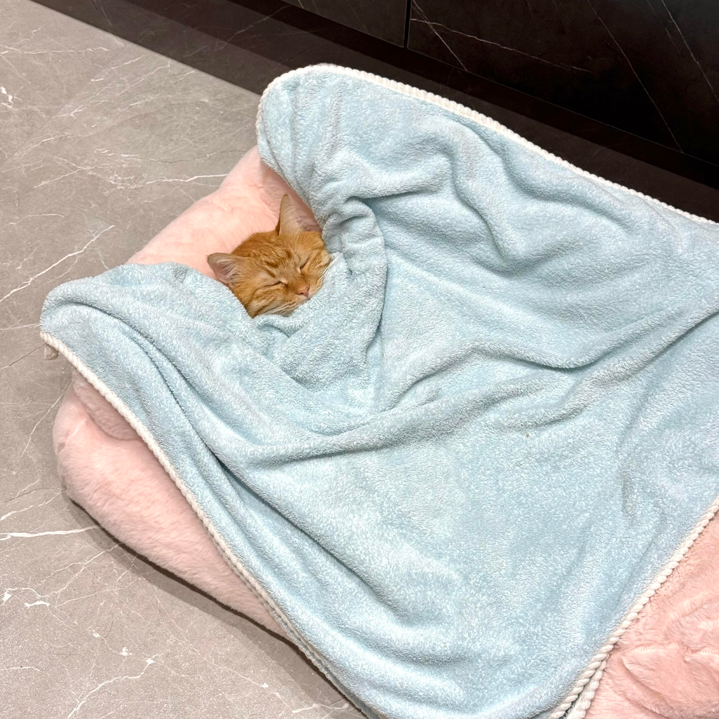 猫窝沙发保暖睡垫室内四季通用猫咪可拆洗午休毯狗窝宠物窝垫猫床,宠物/宠物食品及用品,猫窝/屋/帐篷/沙发,淘宝优惠券,粉丝福利购,淘宝优惠卷