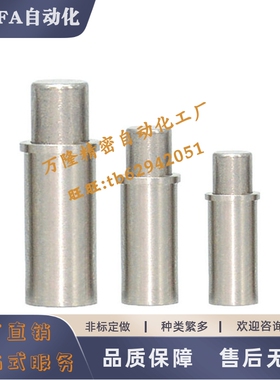 304平头型小径弹簧柱塞MPFL/MPFH1.5/2/3/4/5-1.5/3/4/6/8/9/12