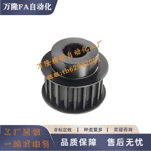 同步轮HTPM24 25 26 28 30 32 34 S5M250-B-H5-H30 P6-P30 N8-N30