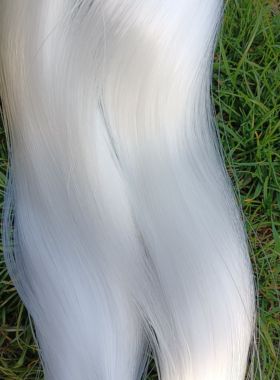 户外高强度白色尼龙胶丝鱼线撒网粘网编织线海钓船钓串钩矶钓海杆