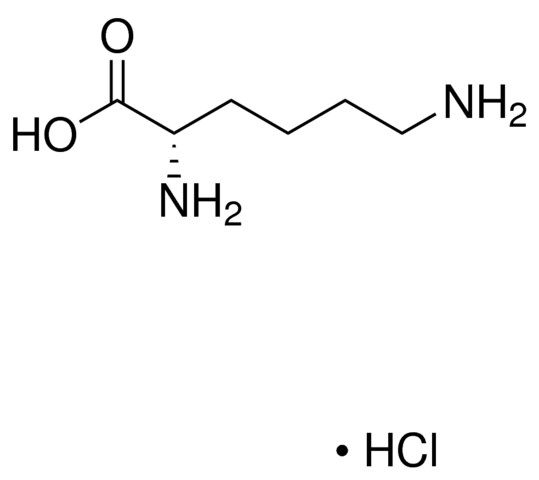 L-赖氨酸单盐酸盐, 62929/PHR1101, sigma原装科研试剂