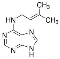 6-嘌呤, D5912-1G/D5912-5G, Sigma原装科研