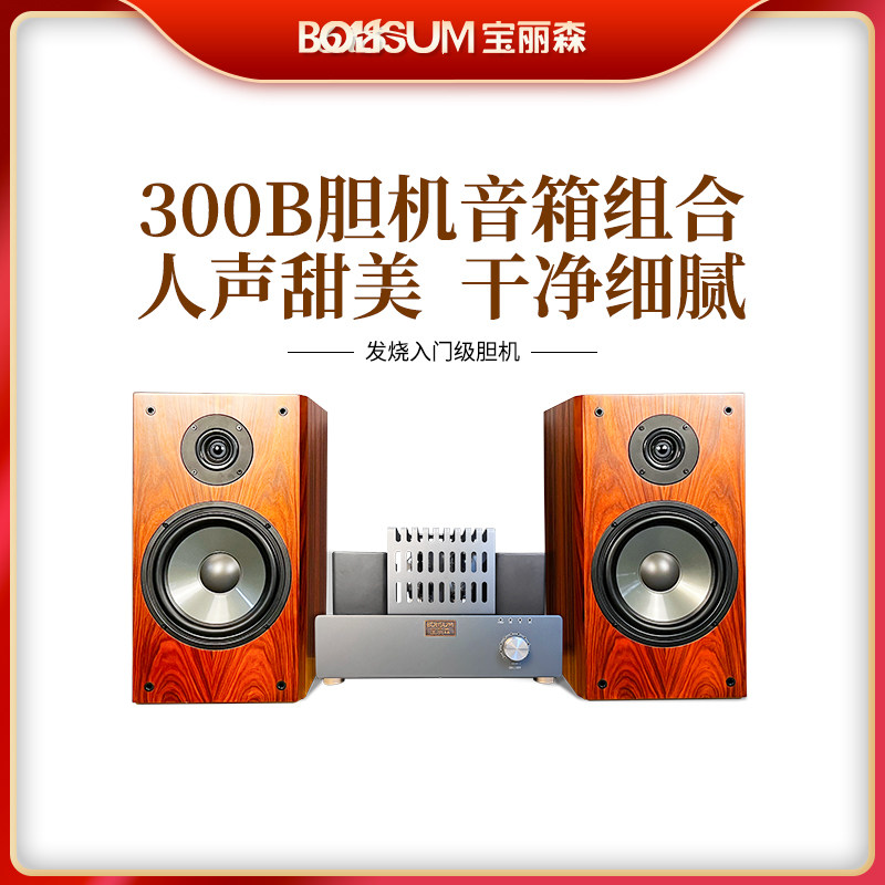 宝丽森300b胆机发烧入门级套装图片