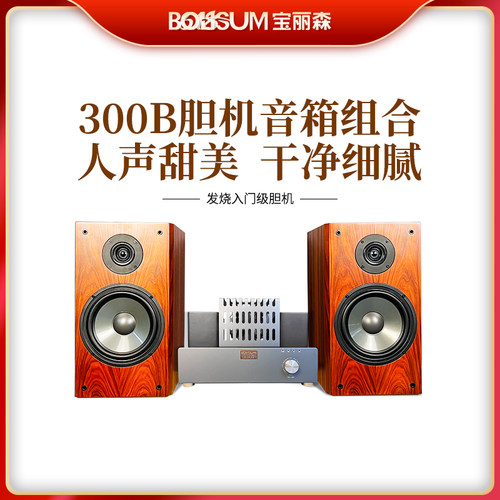 宝丽森300b胆机发烧入门级套装