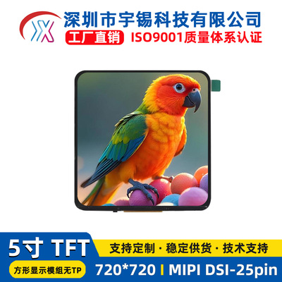 5寸720×720方屏IPS全视角MIPI DSI接口工控设备智能显示模组