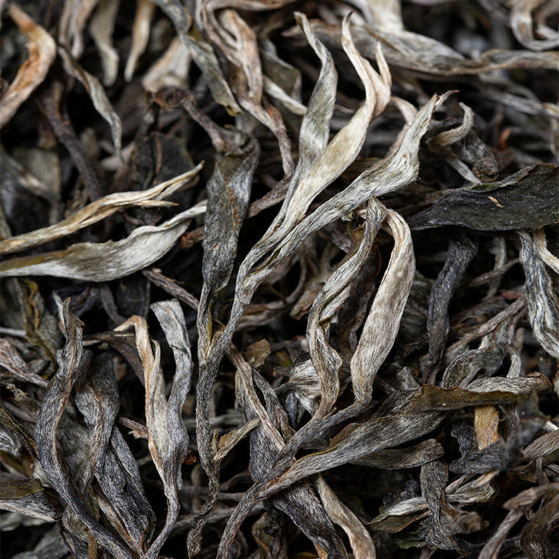 普洱生茶散茶2025年冰岛老寨普洱头春生茶散装茶叶特级普洱生茶叶