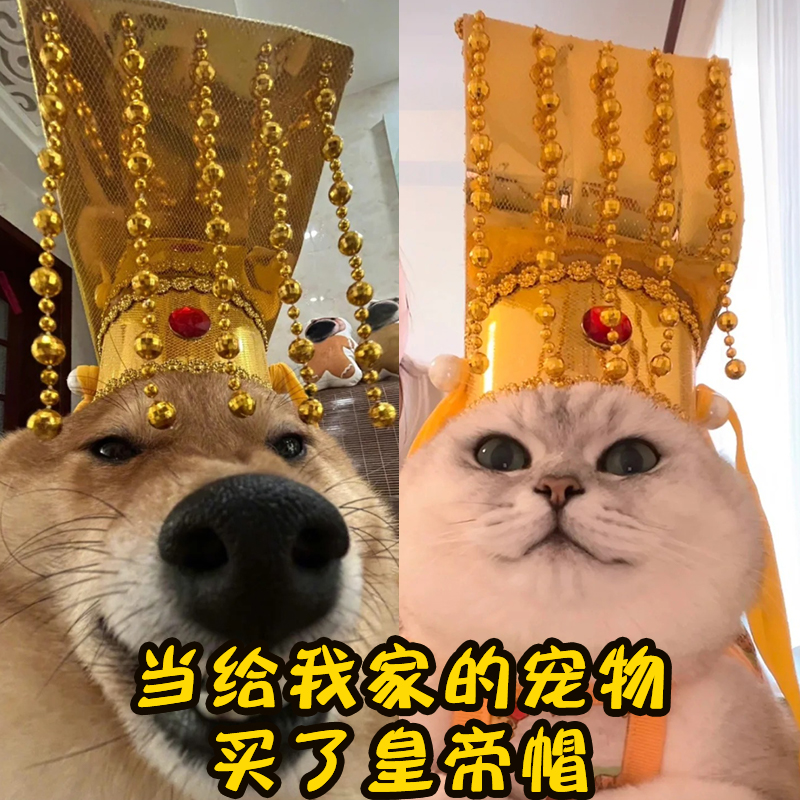 猫咪皇帝帽宫廷头饰创意头饰