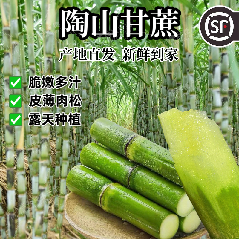 顺丰包邮陶山甘蔗青皮绿皮甘蔗新鲜水果应季当季礼盒果蔗孕妇水果