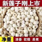 精选优质湘潭莲子干货500g去芯新货莲子干货特级莲子新鲜磨皮莲子