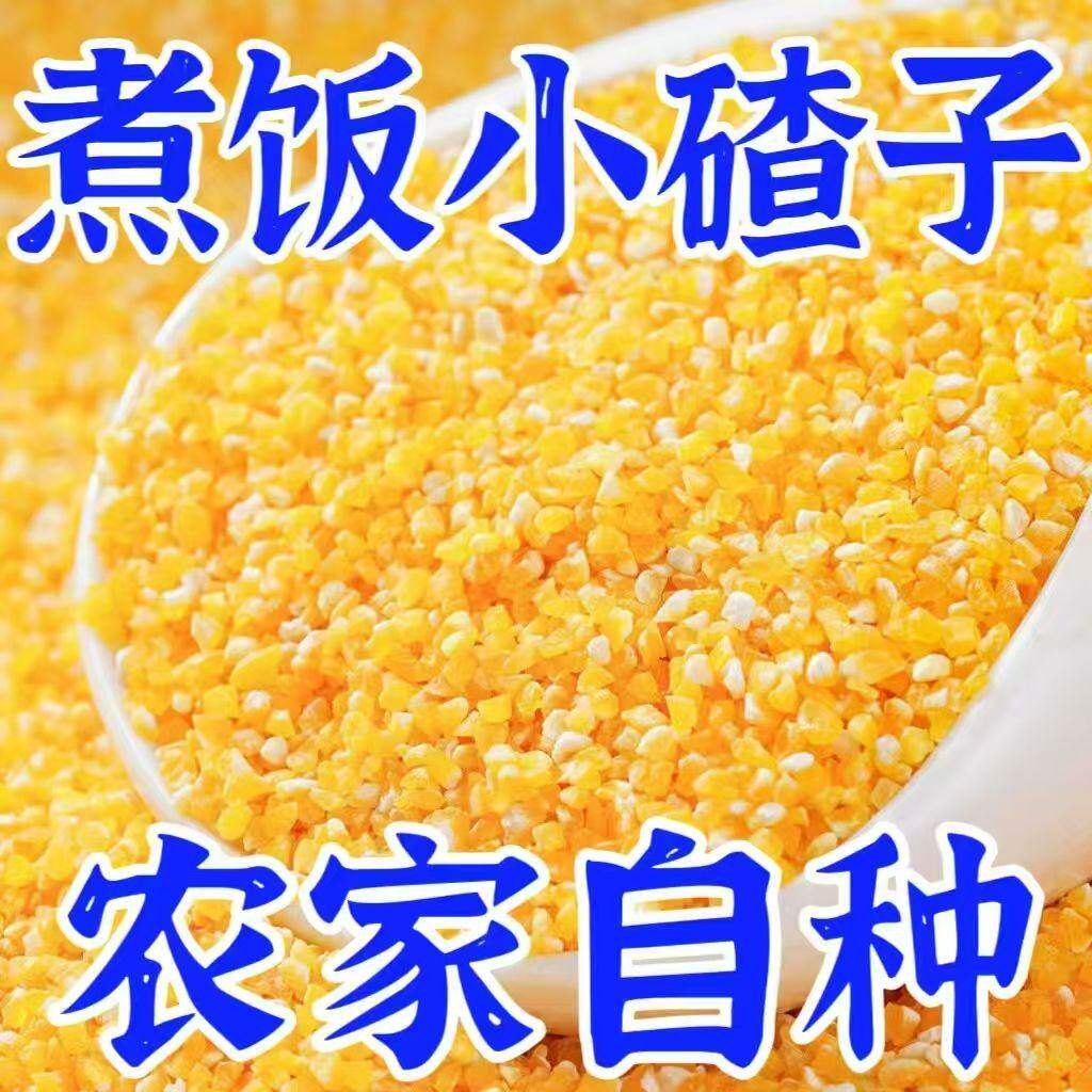 玉米碴大碴子小碴子农家笨碴子碎小粒苞米糁棒子糁细包谷米玉米粥