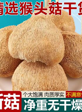 【2025年】猴头菇干货古田日晒猴头菌煲汤食材菌菇商用家用批发