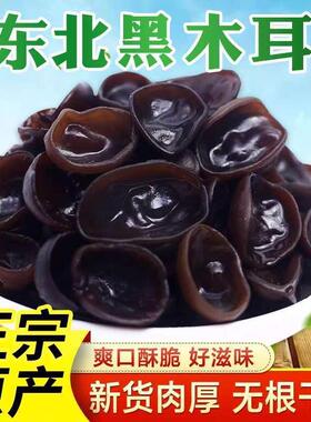 东北头茬黑木耳新鲜黑木耳小碗耳干货肉厚无根干木耳特厚小朵凉拌