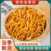 新鲜煲汤商用批发 虫草花煲汤干货孢子头菌菇正品 净重无干燥剂